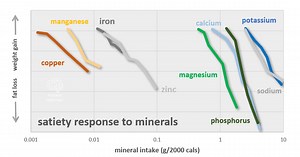 The Role of Minerals in Cravings, Hunger, Satiety and Health