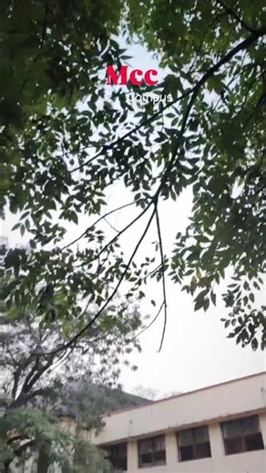 Madras Christian College Campus #mcc #madraschristiancollege #nature #mrf