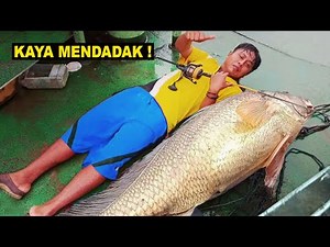 Mancing Dapat Ikan Besar Nelayan ini Kaya Mendadak – 5 Bagian Tubuh Ikan Termahal Di Dunia