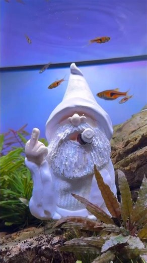 CO2 Gnome Diffusor
