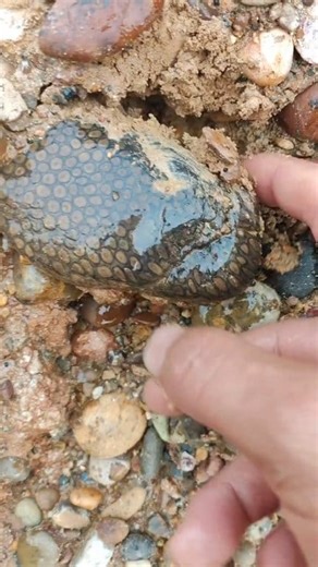 12 Stones People Found — Are They Worth Anything? 💎😳 #stones #minerals #earthmagic #unbelievable #gemstones #usa | Luxe Odyssey