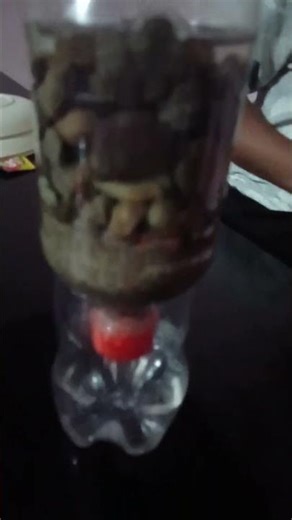 PART-1 this is a water 💦 filter HOMÉ MÀDÉ💦💦💦