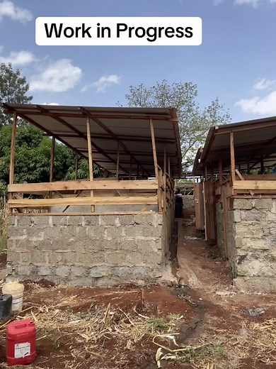 Insights on Pig Farming in Kenya