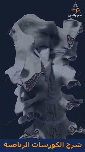 Biomechanics أسهل مع أسس بالعربي