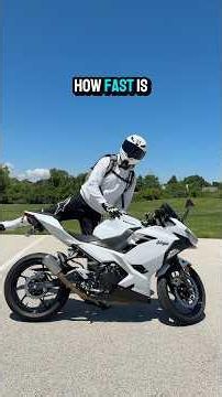 Ninja 400 Top Speed? #ninja400 #motorcycle #sportbike #bike #biketok #beginner #shorts
