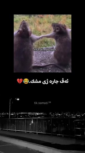 ‏#سەموو_samoo #samad66 #هاریکاربن😍 #シ66 #😂