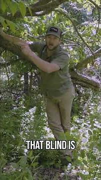 Deer Hunting Strategy | Master Bedding & Food Plot Success #hunting #bowhunting #deerhunting