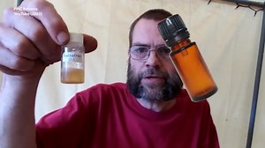 Foreign Foods That Are Banned In the U.S.