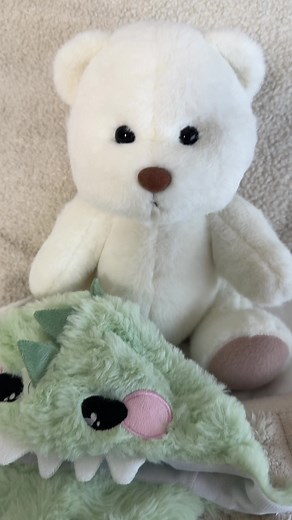 #cuddlebear #gift #giftidea #plushie #stuffedanimal