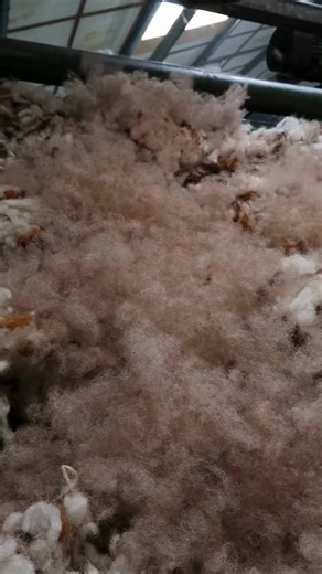 1.3K reactions · 62 shares | Here at the Shawbost Mill, our carding machines gently disentangle and align the wool, creating a continuous sliver of beautifully blended colour, ready for spinning—though it’s not strong enough yet without tensile reinforcement. The next stage in the Harris Tweed® production process is spinning, which is the moment our fibre becomes truly workable yarn 臨 | Harris Tweed Hebrides | Facebook