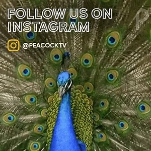 1.4M views · 10K reactions | Say Hello to Peacock - The new streaming service from NBCUniversal. Streaming soon. #PeacockTV | Peacock TV | Facebook