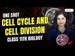 Cell Cycle & Cell Division | One Shot | Class 11 Biology | Half Yearly Exams | Tamsa Mam | Rankplus
