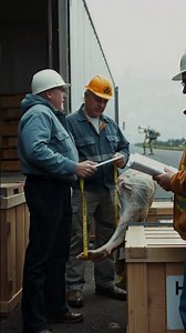 Oregon’s Exploding Whale Disaster