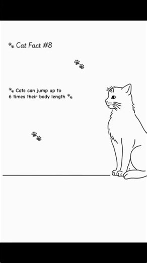 #8: How High Cats Can Jump