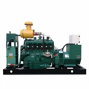 [Hot Item] High Performance Biomass Electric Gasifier Generator for Biomass Plant
