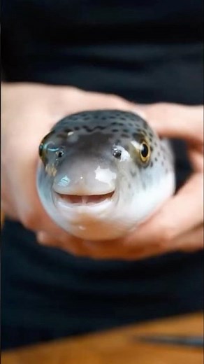 Cooking Fugu Fish in the Oven with a Dramatic Dry Ice Presentation