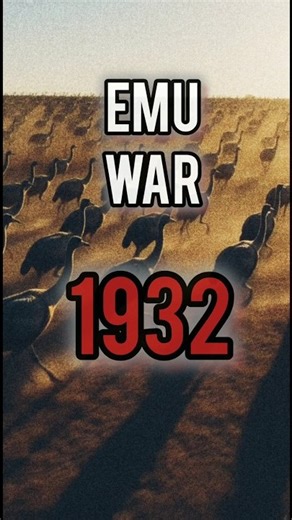 Australia Lost A War To Birds (Seriously)🤯