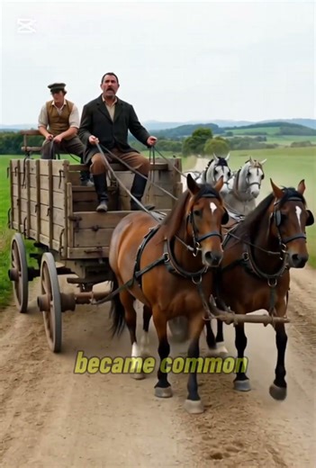 Why Do Countries Drive on Different Sides of the Road?