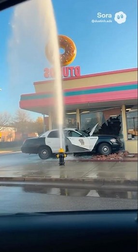 Cop Crashes Into Donut Shop — You Can’t Make This Up