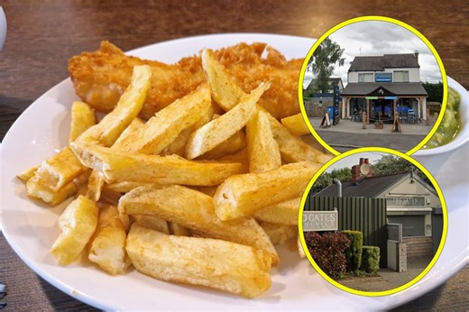 Two fish and chip shops in South Yorkshire named among 50 best in UK