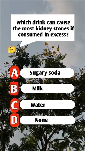 Which drink can cause the most kidney stones if consumed in excess?#quiz #quiztime #quizreels