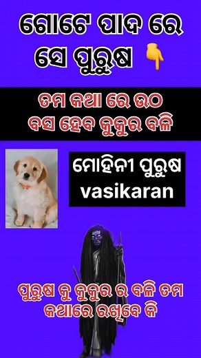 23K views · 123 reactions | #vasikaran #blackmagic #loveproblemsolution #loveproblemsolutionspecialist #loveproblemsolutionastrologer #fbreelsfypシ゚ #viralreelsfacebook | Odia Guniya | Facebook