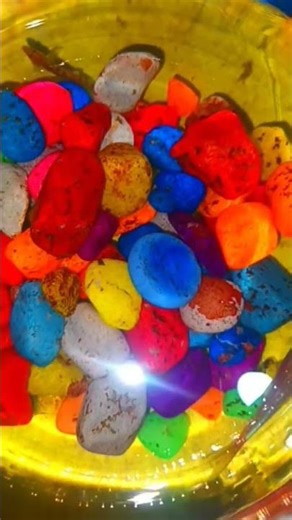 Different types of fishes