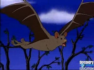The Magic School Bus: Going Batty