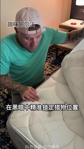 床虱是怎么出现在家里的？臭虫是怎么带进房间的？