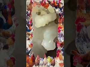 8M Plant vs Zombie Hacker 999990 Zombies In Survival Plants vs zombies hack Menu Pvz mod Ep177