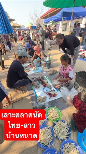 ไทย-ลาว บ้านหนาด นครพรม ตลาดนัดวันอังคาร #food #ตลาดสด #อาหารอีสาน #thaifood #ของป่า