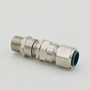 [Hot Item] Explosive Atmosphere Cable Gland E1fw Type 20s