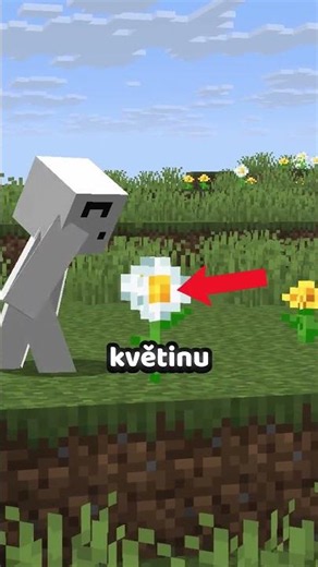 Vajíčková placka v Minecraftu?