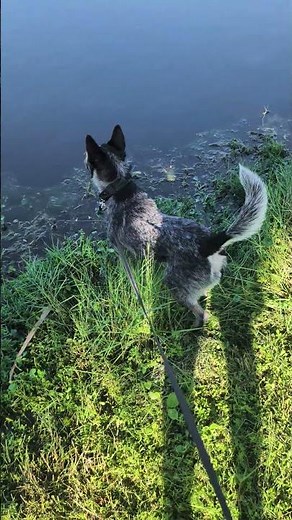 Caspers first taste of water