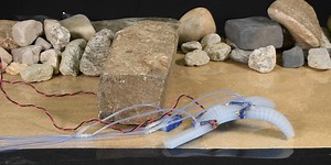 Soft Robot Can Amputate and Reattach Its Own Legs