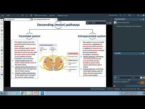 Descending Pathways-Dr.Ahmed Farid