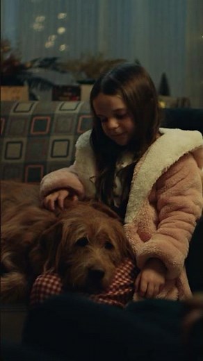 Every dog deserves a happy place 🐶🎄💛 | Dogs Trust