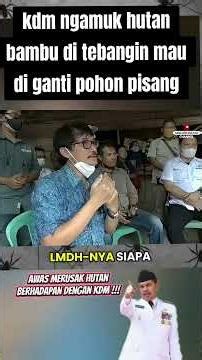 kdm ngamuk hutan bambu di tebangin mau di ganti pohon pisang #kangdedimulyadi #viral