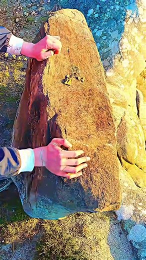 הסרטונים של real flip (@real.flip4) עם оригинальный звук - noRAGE