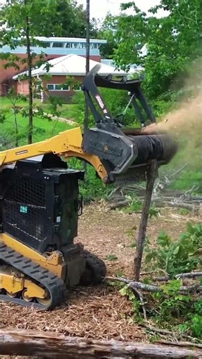 Forestry Mulcher Operation B Destroying Thick Trees With Ease