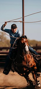 11K views · 156 reactions | Our halo breakaway rope putting in the work  this rope also holds its own as a head rope and can be ordered online 﫡 #tiedtowin #breakawayroping #onlinenow | Top Hand Ropes | Facebook