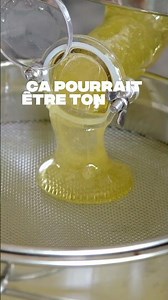 La méthode en 7 étapes pour débuter en apiculture