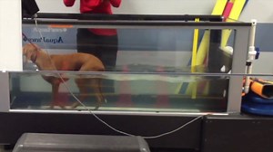 70K views · 2.1K reactions | Like our page for brief & informative peer-reviewed articles, quizzes, & videos. | Clinician's Brief | Facebook