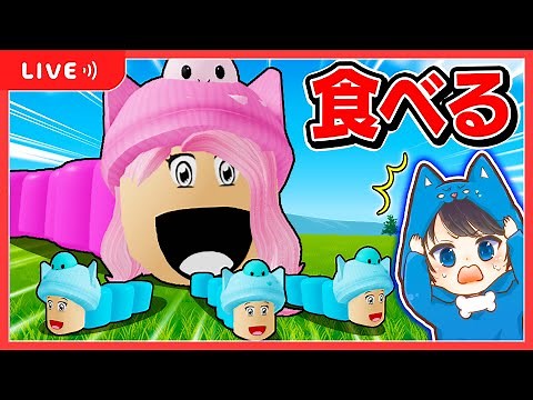🔴ちろる vs ぴの！戦いだ！戦いだだだ！！【 ROBLOX / ロブロックス 】