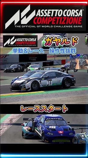 【ACC】 レーススタート ガヤルド 挙動＆レース 操作性抜群 【アセットコルサ コンペティツィオーネ】 AssettoCorsaCompetizione ロジクール