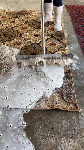 Satisfying Carpet Cleaning Process Unveiled