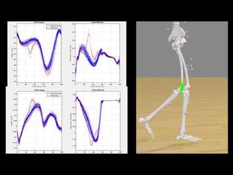Towards Biological Joint Impedance Estimation – ICORR 2025 Presentation | SWAG Project