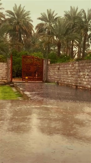 ‏#نامق_مصطفى #ذكريات_لاتموت #تصميم_فيديوهات🎶🎤🎬
