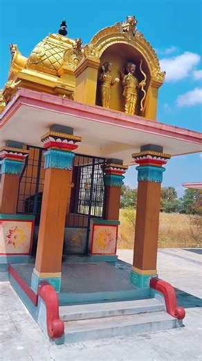 Day 4 Vlog of Agriculture