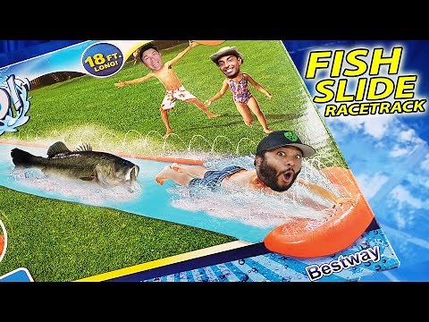 Fish Slip n Slide Race!